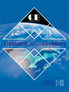 Annual Reports 2020