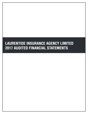 Audited Financial Statements 2017