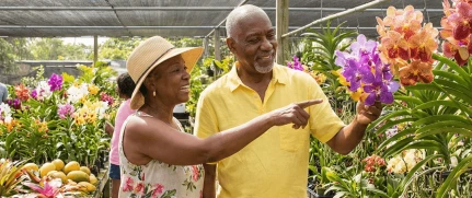 Senior Citizens Chequing Account